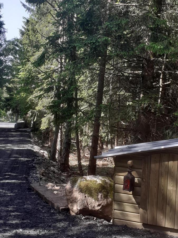 Chalet Libellule Domaine De La Mamounette Champclause Zewnętrze zdjęcie