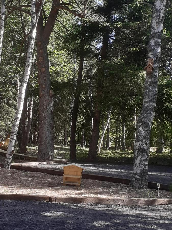 Chalet Libellule Domaine De La Mamounette Champclause Zewnętrze zdjęcie