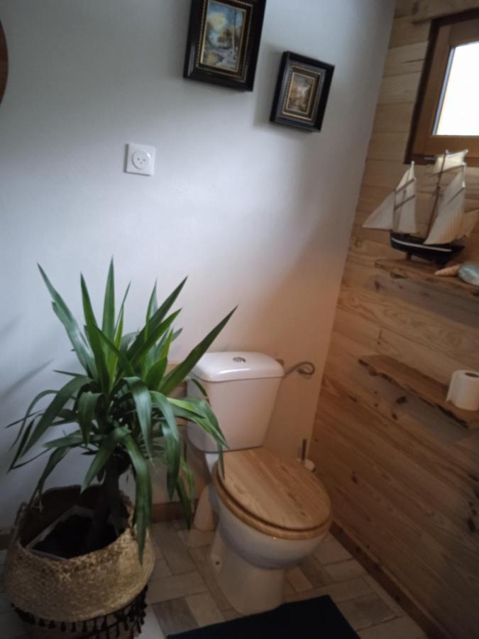 Chalet Libellule Domaine De La Mamounette Champclause Zewnętrze zdjęcie