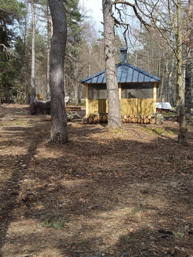 Chalet Libellule Domaine De La Mamounette Champclause Zewnętrze zdjęcie