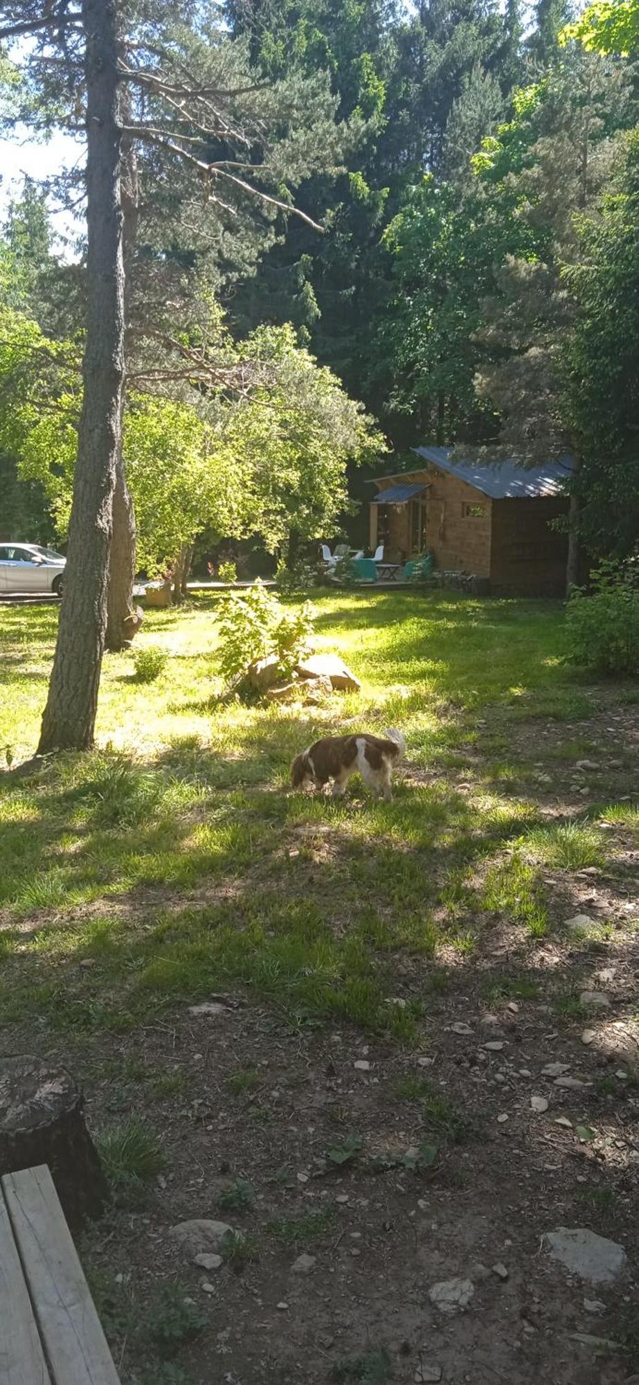 Chalet Libellule Domaine De La Mamounette Champclause Zewnętrze zdjęcie