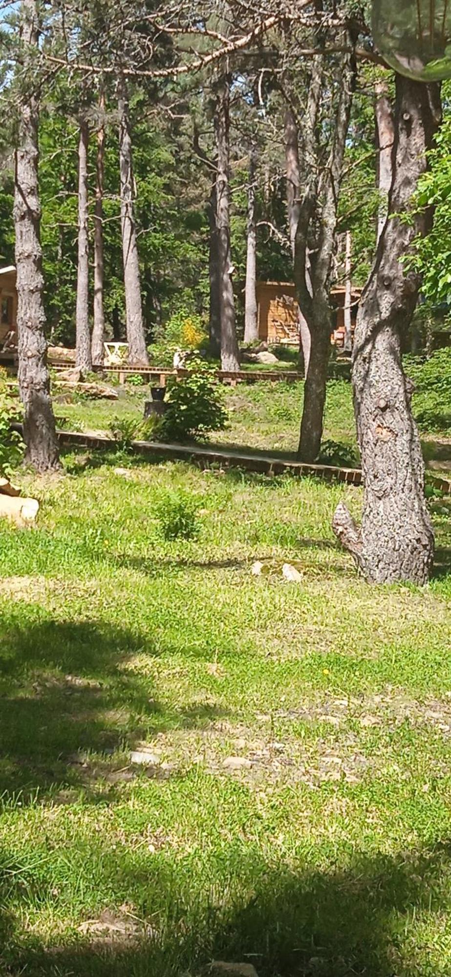 Chalet Libellule Domaine De La Mamounette Champclause Zewnętrze zdjęcie